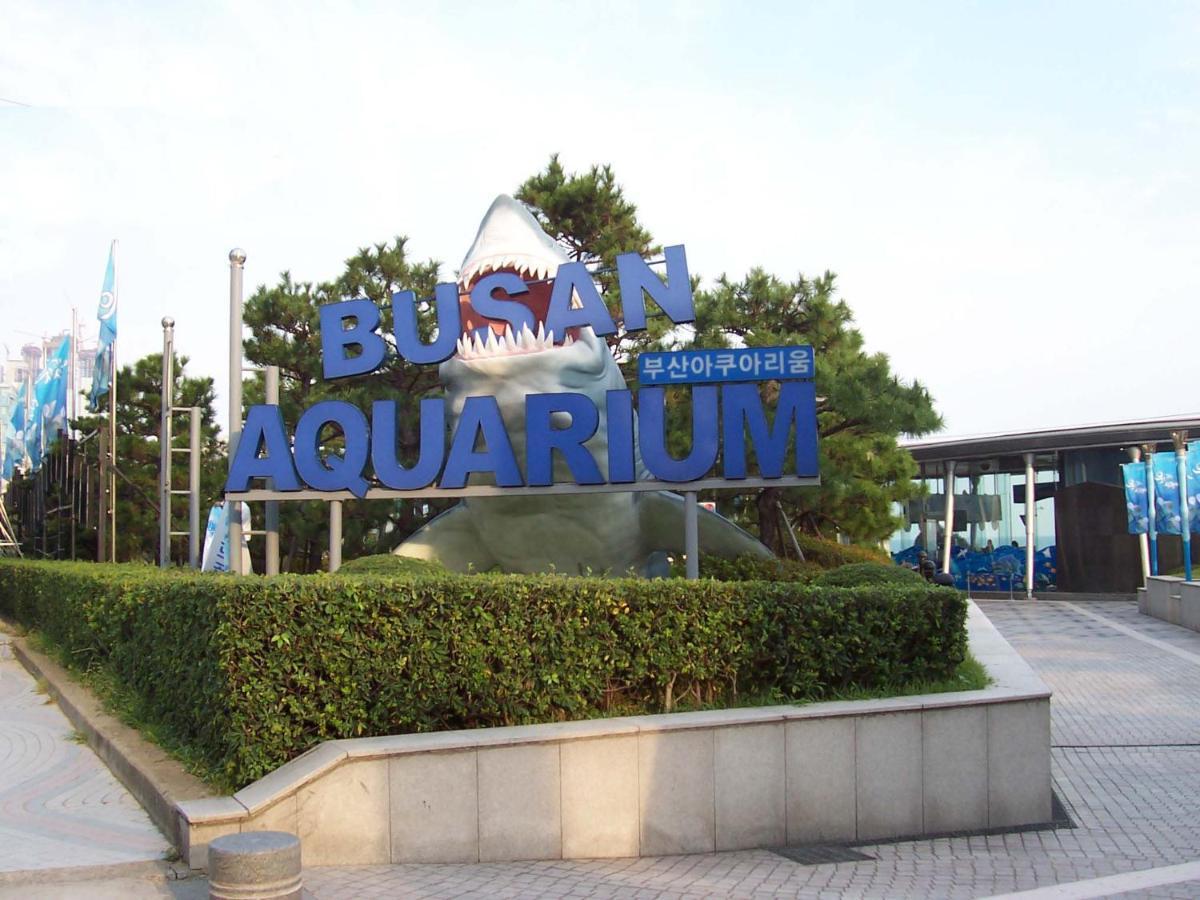 דירות בוסאן Haeundae Luxury House מראה חיצוני תמונה
